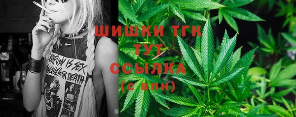 круглые Осинники